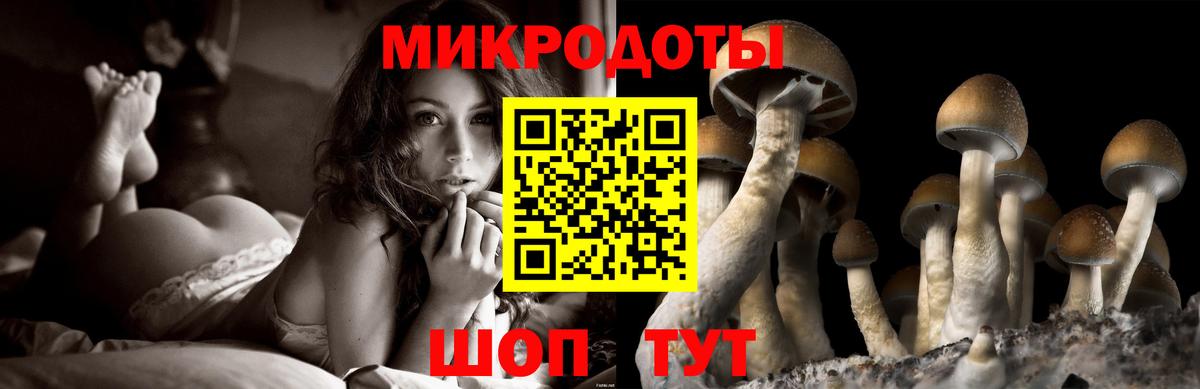 Псилоцибиновые грибы Psilocybe Красный Сулин